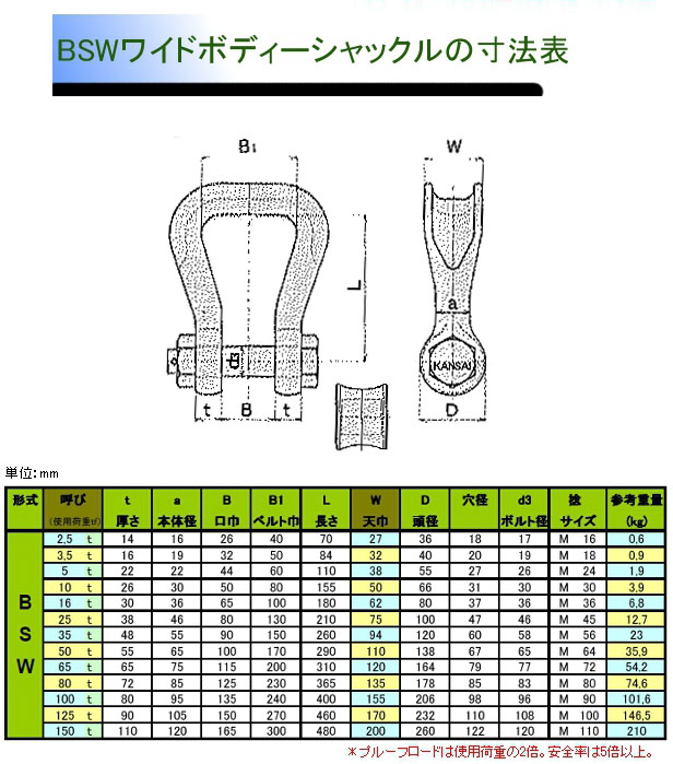 最大15%OFFクーポン ＫＡＮＳＡＩ BSW繊維スリング用シャックル 使用荷重16T