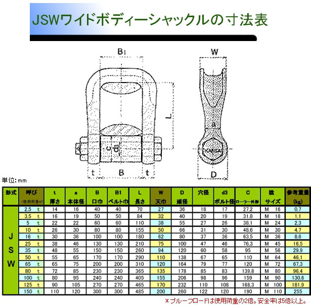 最大15%OFFクーポン ＫＡＮＳＡＩ BSW繊維スリング用シャックル 使用荷重16T